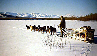 Bob Buzby and dog sled Photo of Bob Buzby and dog sled team