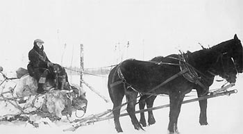 Photo of Jay Buzby and his horse drawn sled loaded with freight